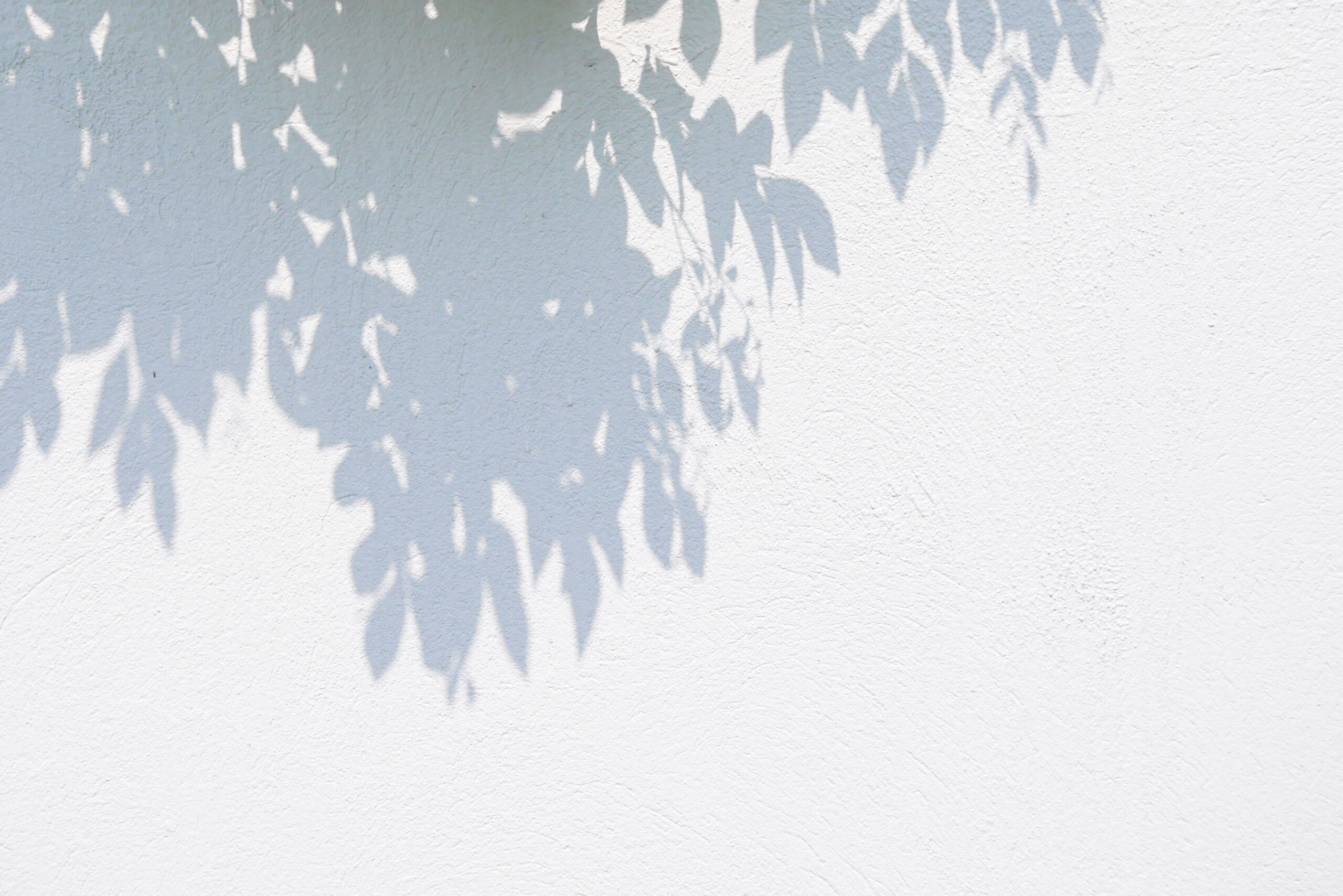 AdobeStock_270804703